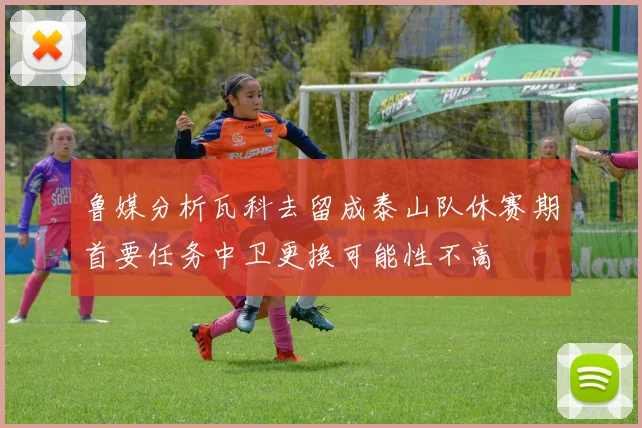 鲁媒分析瓦科去留成泰山队休赛期首要任务中卫更换可能性不高