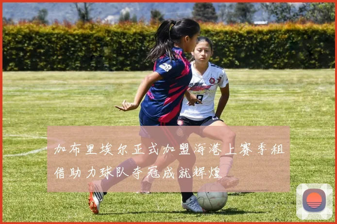 加布里埃尔正式加盟海港上赛季租借助力球队夺冠成就辉煌